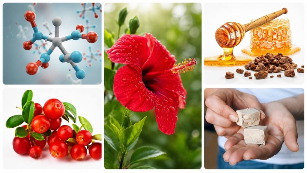 D-mannóz, tőzegáfonya, hibiszkusz, propolisz és béta-glükán